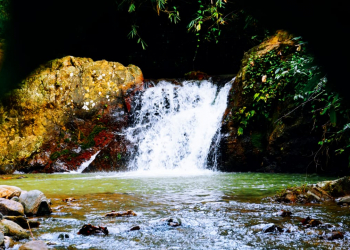 Timbulun Punco Kayu: Pemandian Dengan Suguhan Air Jernih, Cocok Untuk Berakhir Pekan