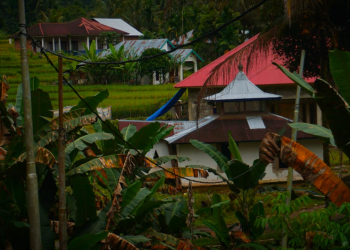 Menyimak Hulu Langgai: Sebuah Cerita Dari Kampung Mudiak dan Sejarah Tersembunyi