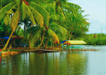 Pelesiran: Berakhir Pekan Keliling Hutan Nipah di Sungai Tawa Indah Dengan Rakit Bambu