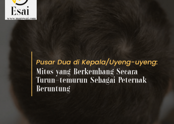 Pusar Dua di Kepala/Uyeng-uyeng: Mitos yang Berkembang Secara Turun-temurun Sebagai Peternak Beruntung