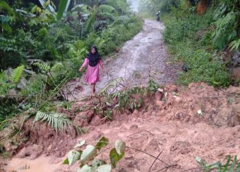 Bencana Alam: “Jalan Berulangkali Minta Perhatian”