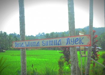 Sumua Ayek: Karomah yang Tak Pernah Kering, Nagari Pelangai Kaciek Kec. Ranah Pesisir, Pesisir Selatan