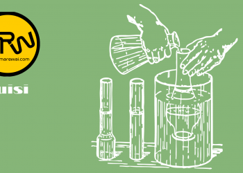 Puisi-puisi Muhammad Sapikri | Terubuk Nasibmu Kini