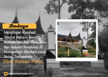 Mengingat Kembali Tradisi Bakaru Boniah, Bakaru Tompat Tuak Bisu, dan Bakaru Ampiang di Kenagarian Sikabau yang Mulai Terlupakan | Dino Rawan Putra