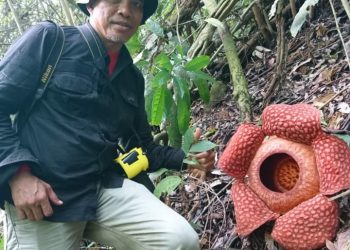 Bunga-Bunga Langka jadi Icon Desa Wisata Saniang Baka