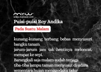 Puisi-puisi Roy Andika | Pada Suatu Malam