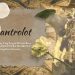 Aji Mantrolot: AWAL PERANTAUAN PUTRA MAHKOTA